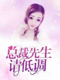 总裁先生请低调