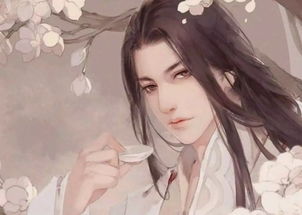 第一赘婿在线阅读