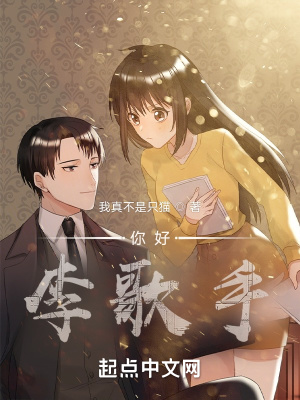 你好,李歌手